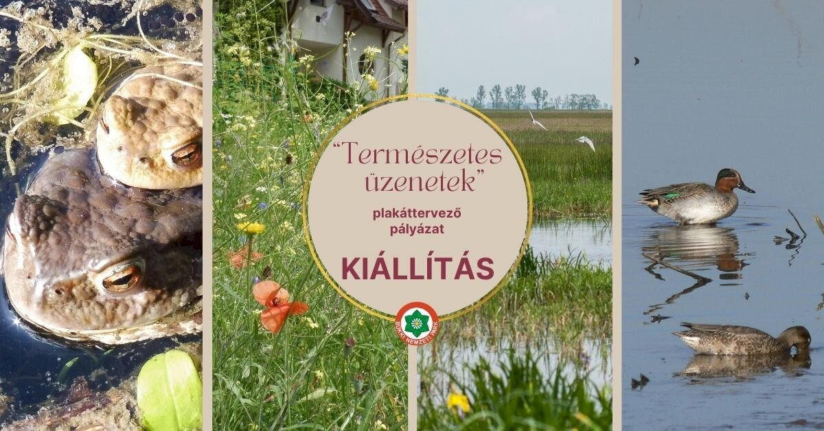 Természetes üzenetek kiállítás.jpg